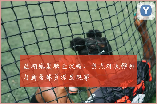 盐湖城夏联全攻略:焦点对决预测与新秀球员深度观察